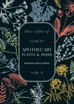 Apothecary plant frame design. Witchcraft background. Herbal remedies, medicinal plant, witch herbs, natural medicine hand-drawn vector illustration. Vinatge card template. NOT AI genereted